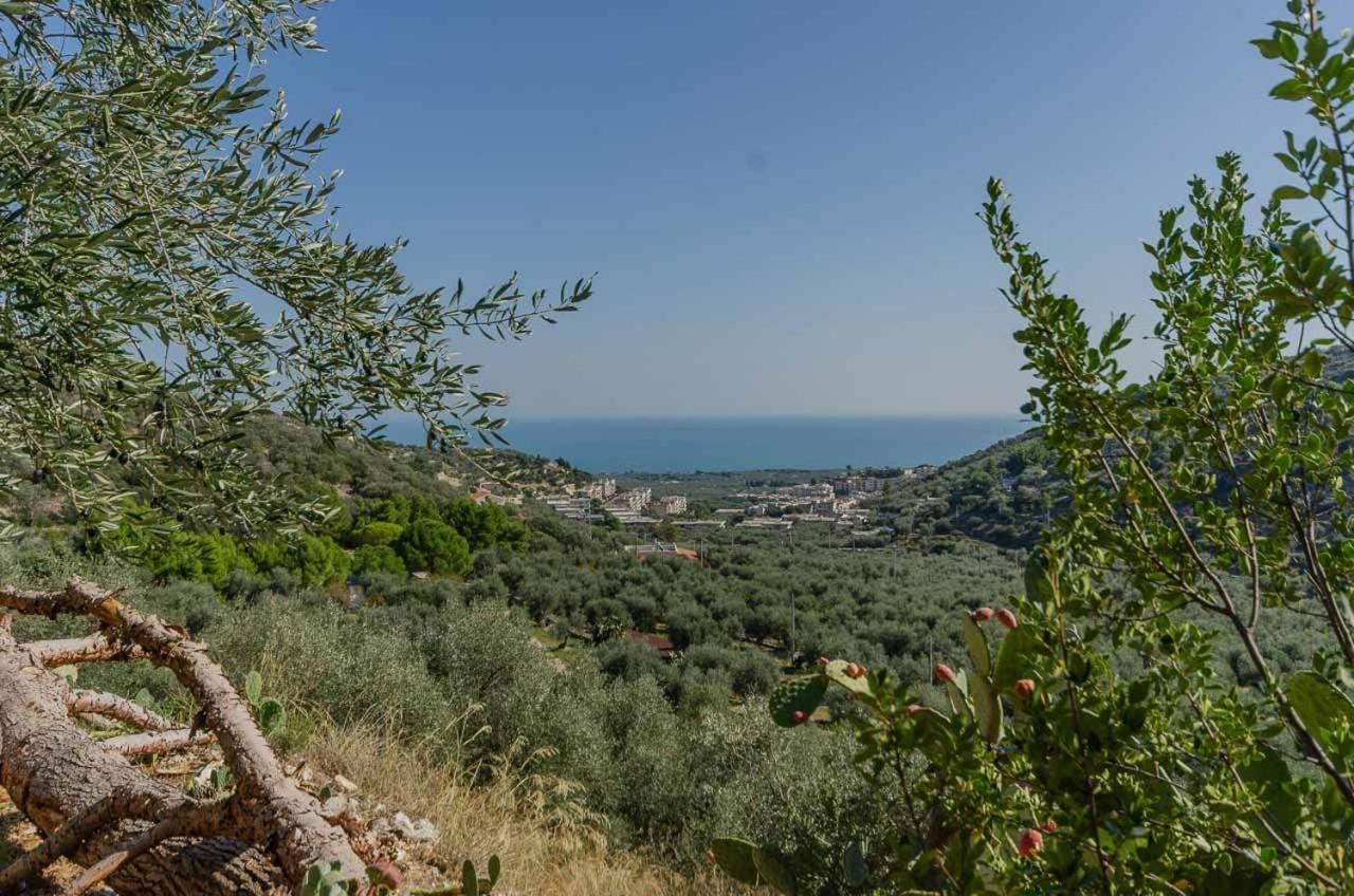 Agriturismo Madonna Incoronata Villa Mattinata Exterior photo