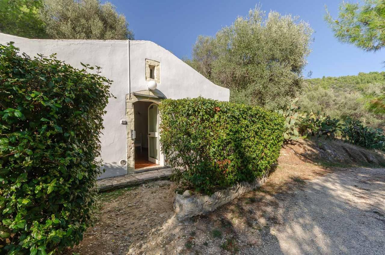 Agriturismo Madonna Incoronata Mattinata Exterior photo